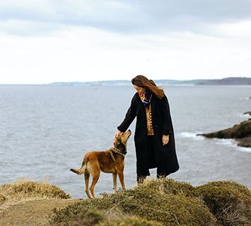 avenir sentimental voyant